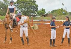 Foto de la galería: El futuro de la equitación, en un certamen de primer nivel