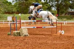 Foto de la galería: El futuro de la equitación, en un certamen de primer nivel