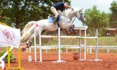 Foto de la galería: El futuro de la equitación, en un certamen de primer nivel