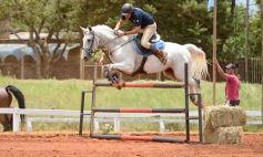 Foto de la galería: El futuro de la equitación, en un certamen de primer nivel