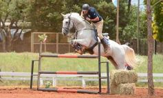 Foto de la galería: El futuro de la equitación, en un certamen de primer nivel