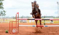 Foto de la galería: El futuro de la equitación, en un certamen de primer nivel