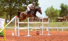 Foto de la galería: El futuro de la equitación, en un certamen de primer nivel