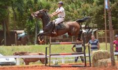Foto de la galería: El futuro de la equitación, en un certamen de primer nivel