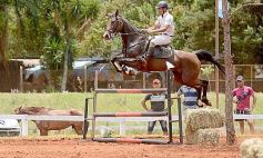 Foto de la galería: El futuro de la equitación, en un certamen de primer nivel