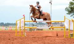 Foto de la galería: El futuro de la equitación, en un certamen de primer nivel