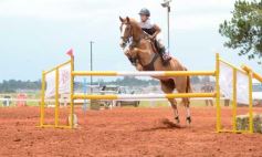 Foto de la galería: El futuro de la equitación, en un certamen de primer nivel