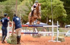Foto de la galería: El futuro de la equitación, en un certamen de primer nivel