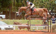Foto de la galería: El futuro de la equitación, en un certamen de primer nivel