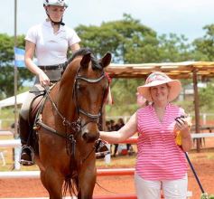 Foto de la galería: El futuro de la equitación, en un certamen de primer nivel