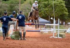 Foto de la galería: El futuro de la equitación, en un certamen de primer nivel