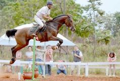 Foto de la galería: El futuro de la equitación, en un certamen de primer nivel