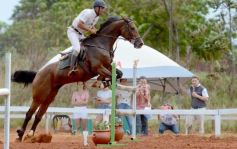 Foto de la galería: El futuro de la equitación, en un certamen de primer nivel