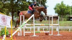 Foto de la galería: El futuro de la equitación, en un certamen de primer nivel