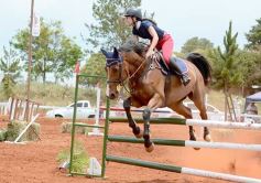 Foto de la galería: El futuro de la equitación, en un certamen de primer nivel