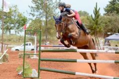 Foto de la galería: El futuro de la equitación, en un certamen de primer nivel