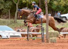 Foto de la galería: El futuro de la equitación, en un certamen de primer nivel
