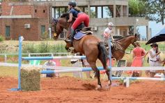 Foto de la galería: El futuro de la equitación, en un certamen de primer nivel