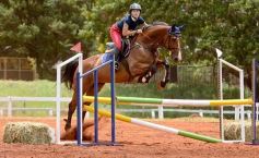 Foto de la galería: El futuro de la equitación, en un certamen de primer nivel