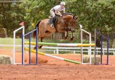 Foto de la galería: El futuro de la equitación, en un certamen de primer nivel