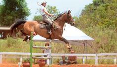 Foto de la galería: El futuro de la equitación, en un certamen de primer nivel