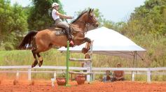 Foto de la galería: El futuro de la equitación, en un certamen de primer nivel