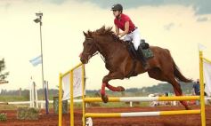 Sixto Fotografías. Deportes. Equitación - El futuro de la equitación, en un certamen de primer nivel