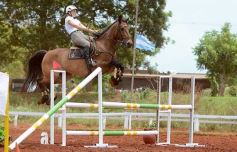 Foto de la galería: El futuro de la equitación, en un certamen de primer nivel
