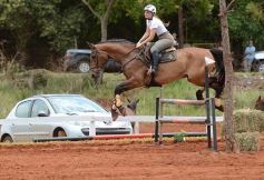 Foto de la galería: El futuro de la equitación, en un certamen de primer nivel
