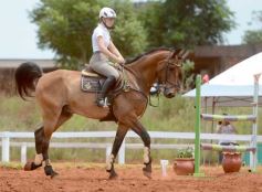 Foto de la galería: El futuro de la equitación, en un certamen de primer nivel