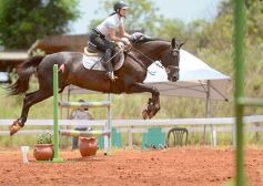 Foto de la galería: El futuro de la equitación, en un certamen de primer nivel