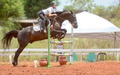 Foto de la galería: El futuro de la equitación, en un certamen de primer nivel