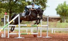 Foto de la galería: El futuro de la equitación, en un certamen de primer nivel