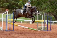 Foto de la galería: El futuro de la equitación, en un certamen de primer nivel