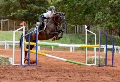 Foto de la galería: El futuro de la equitación, en un certamen de primer nivel