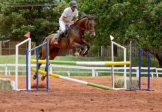 Foto de la galería: El futuro de la equitación, en un certamen de primer nivel