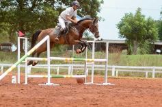 Foto de la galería: El futuro de la equitación, en un certamen de primer nivel
