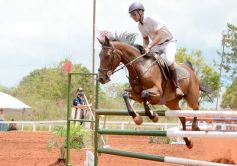 Foto de la galería: El futuro de la equitación, en un certamen de primer nivel