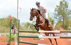 Foto de la galería: El futuro de la equitación, en un certamen de primer nivel