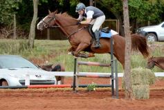 Foto de la galería: El futuro de la equitación, en un certamen de primer nivel