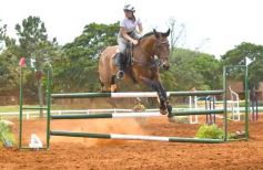 Foto de la galería: El futuro de la equitación, en un certamen de primer nivel
