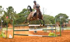 Foto de la galería: El futuro de la equitación, en un certamen de primer nivel