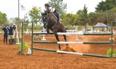 Foto de la galería: El futuro de la equitación, en un certamen de primer nivel