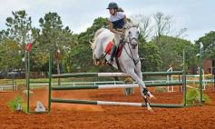 Foto de la galería: El futuro de la equitación, en un certamen de primer nivel