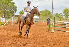 Foto de la galería: El futuro de la equitación, en un certamen de primer nivel