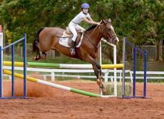 Foto de la galería: El futuro de la equitación, en un certamen de primer nivel