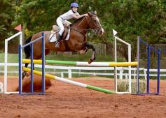 Foto de la galería: El futuro de la equitación, en un certamen de primer nivel