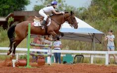 Foto de la galería: El futuro de la equitación, en un certamen de primer nivel
