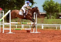 Foto de la galería: El futuro de la equitación, en un certamen de primer nivel