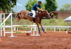 Foto de la galería: El futuro de la equitación, en un certamen de primer nivel